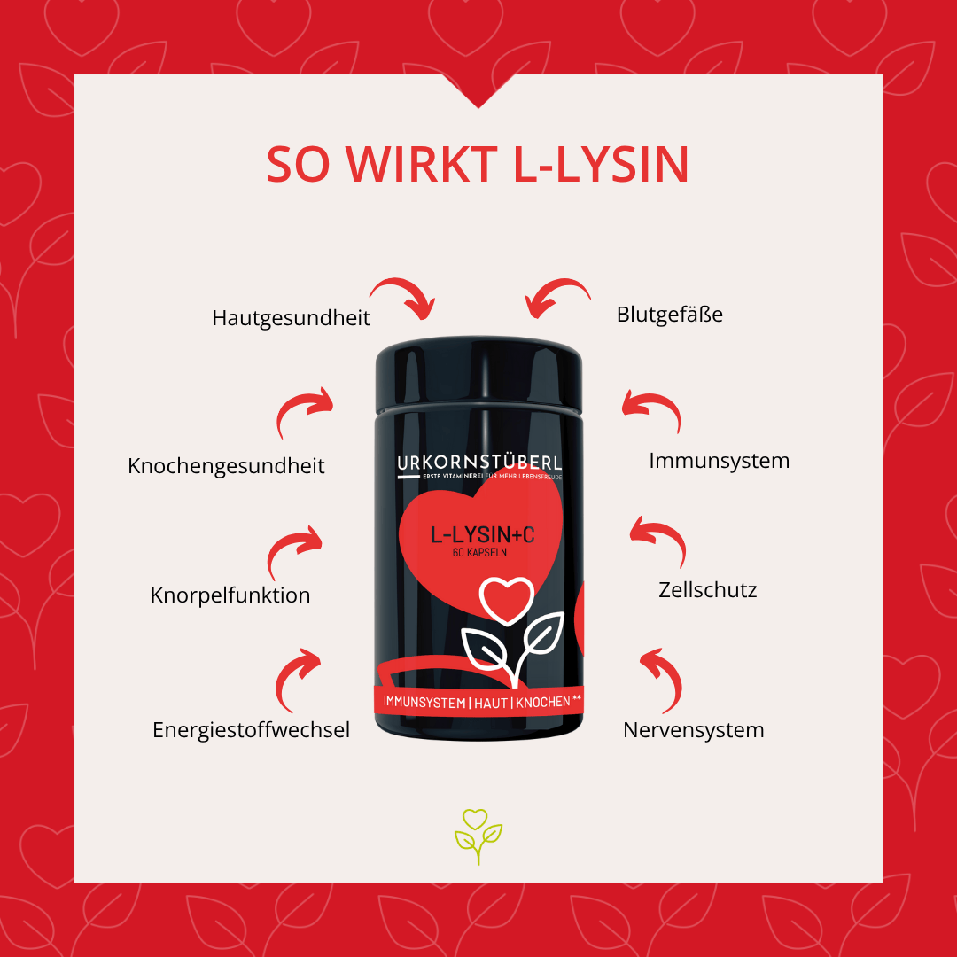 L-Lysin+C 60 Kapseln