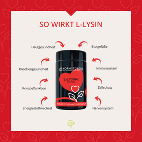 L-Lysin+C 60 Kapseln
