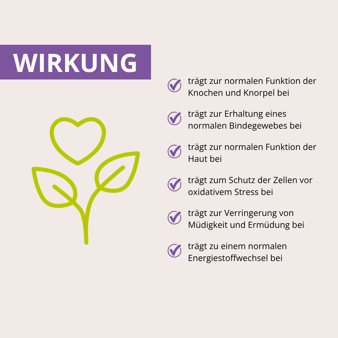 MSM+C Kapseln 180 Stück