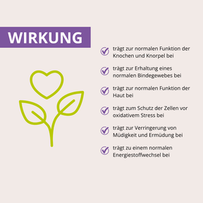 MSM+C Kapseln 180 Stück