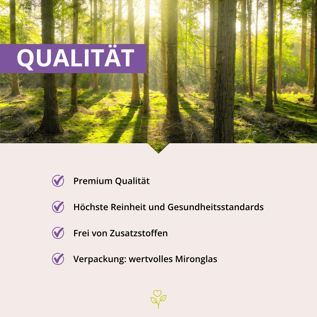 MSM+C Kapseln 180 Stück