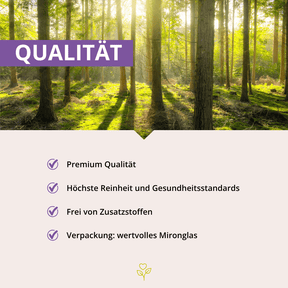 MSM+C Kapseln 180 Stück