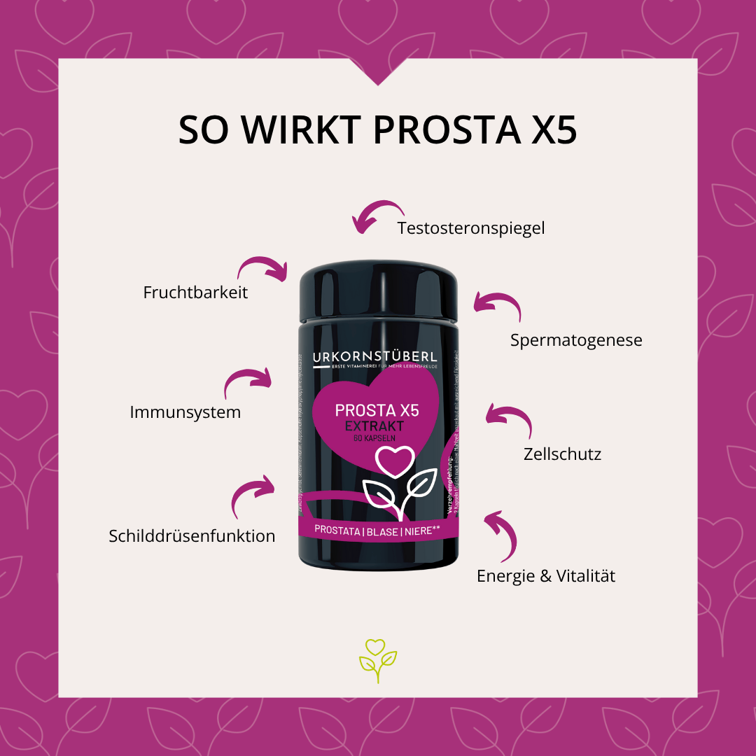 Prosta X5 Kapseln 60 Stk.