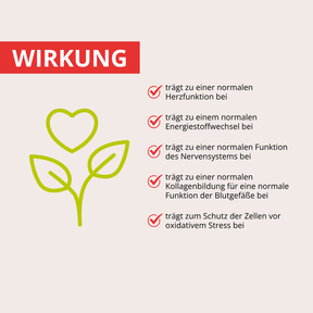 Roter Reis Komplex 60 Kapseln