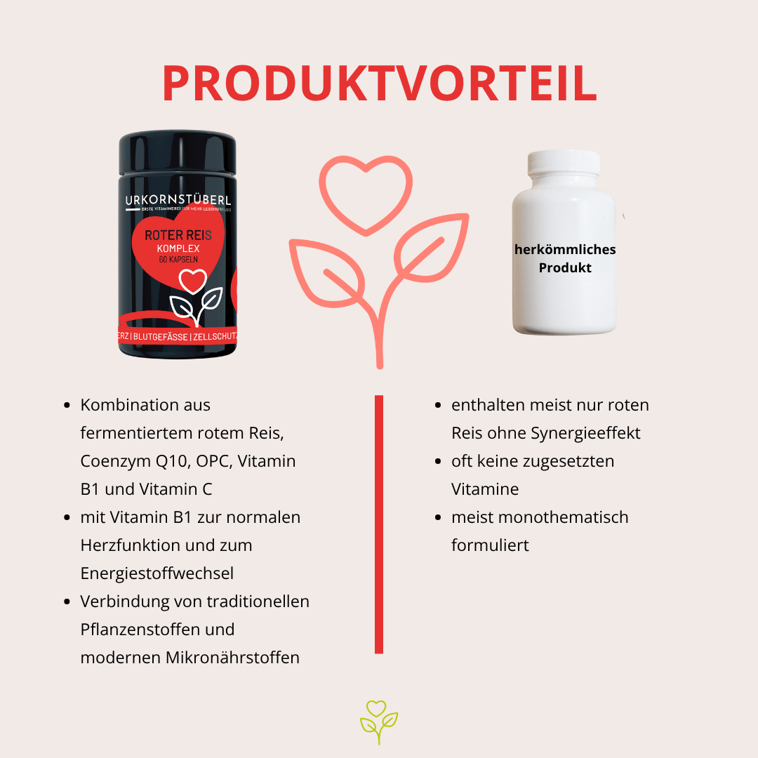 Roter Reis Komplex 60 Kapseln