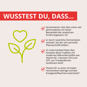 Roter Reis Komplex 60 Kapseln