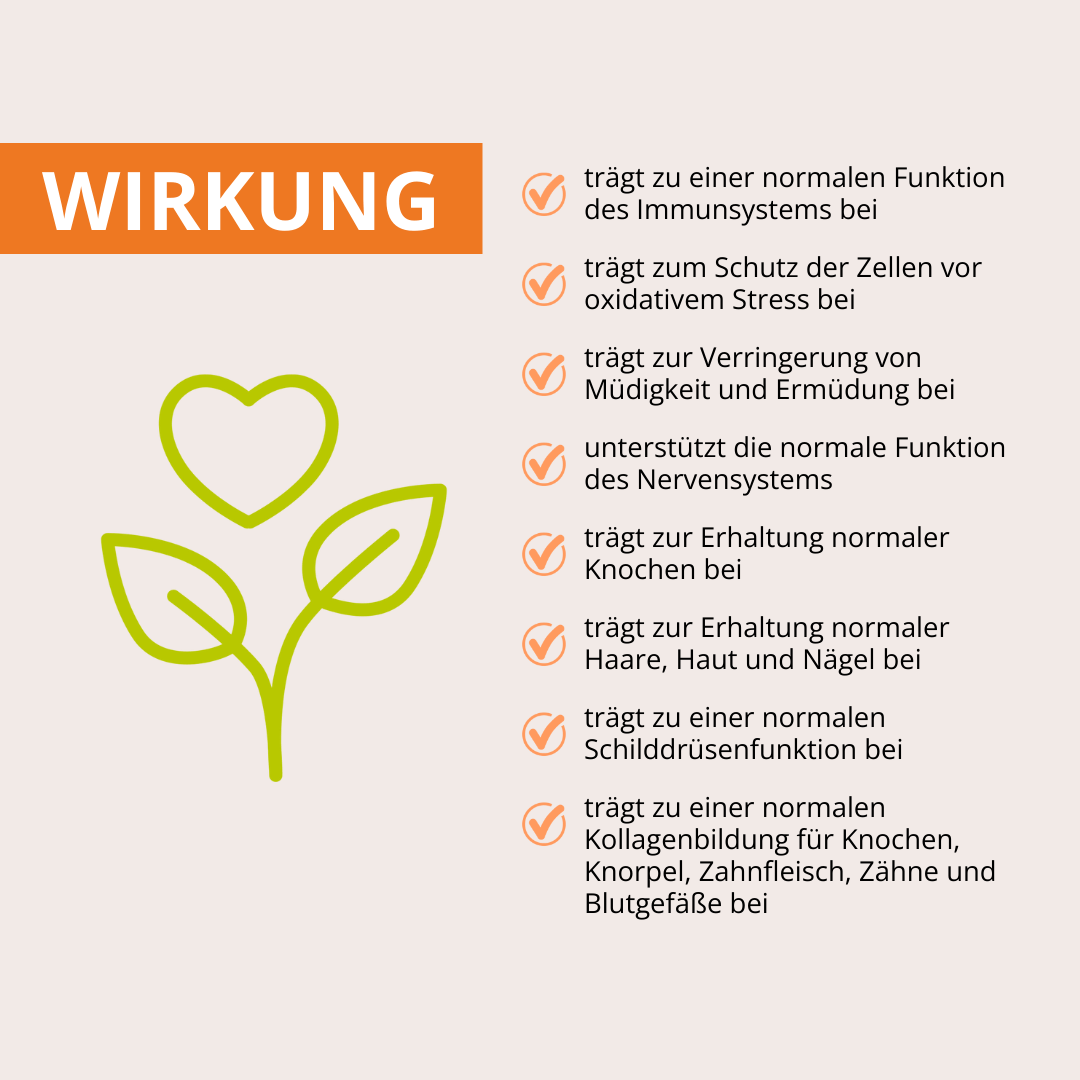 URKORN 3 - Familie - Für Groß und Klein