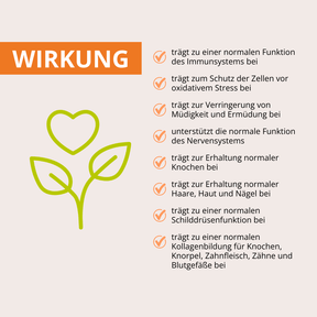 URKORN 3 - Familie - Für Groß und Klein