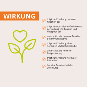 URKORN 3 - Familie - Für Groß und Klein