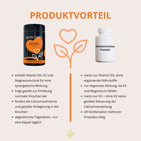 URKORN 2 - Vital - Stark durch´s Jahr