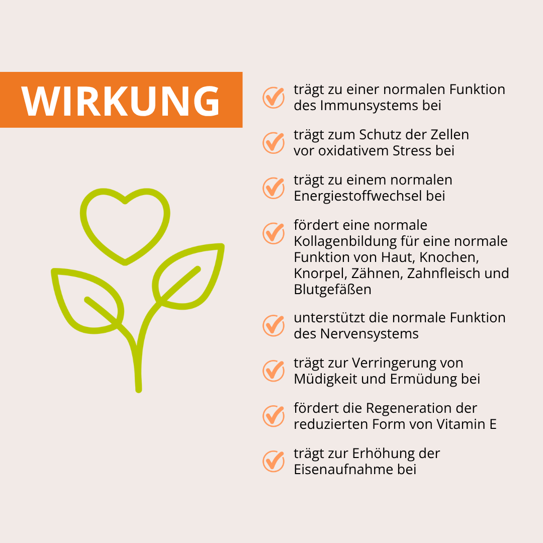 URKORN 2 - Vital - Stark durch´s Jahr