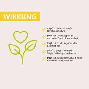 URKORN 4 - 50+ - Im besten Alter