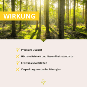 URKORN 4 - 50+ - Im besten Alter