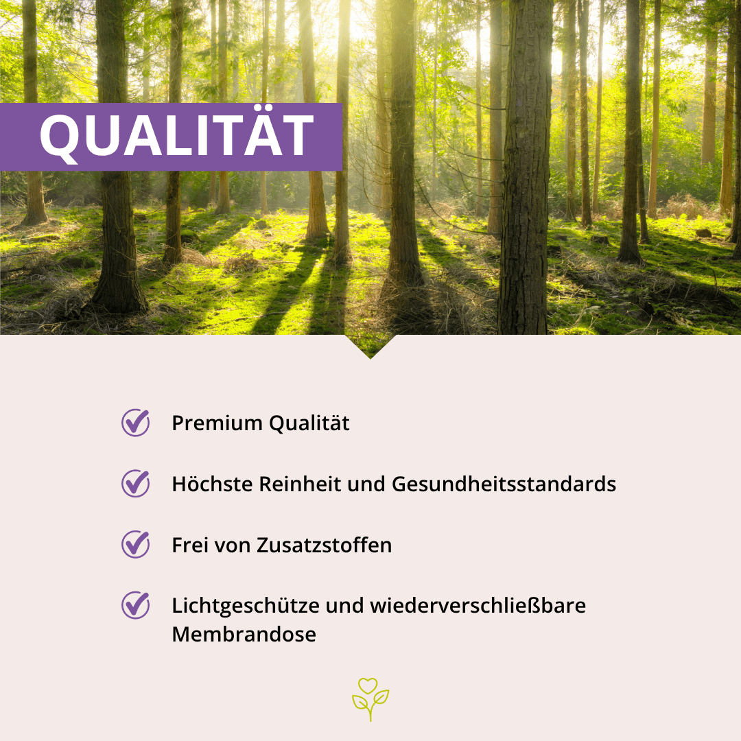 MSM Pulver 655 g Dose