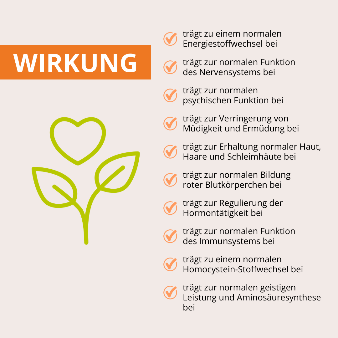 Vitamin B Komplex 60 Kapseln