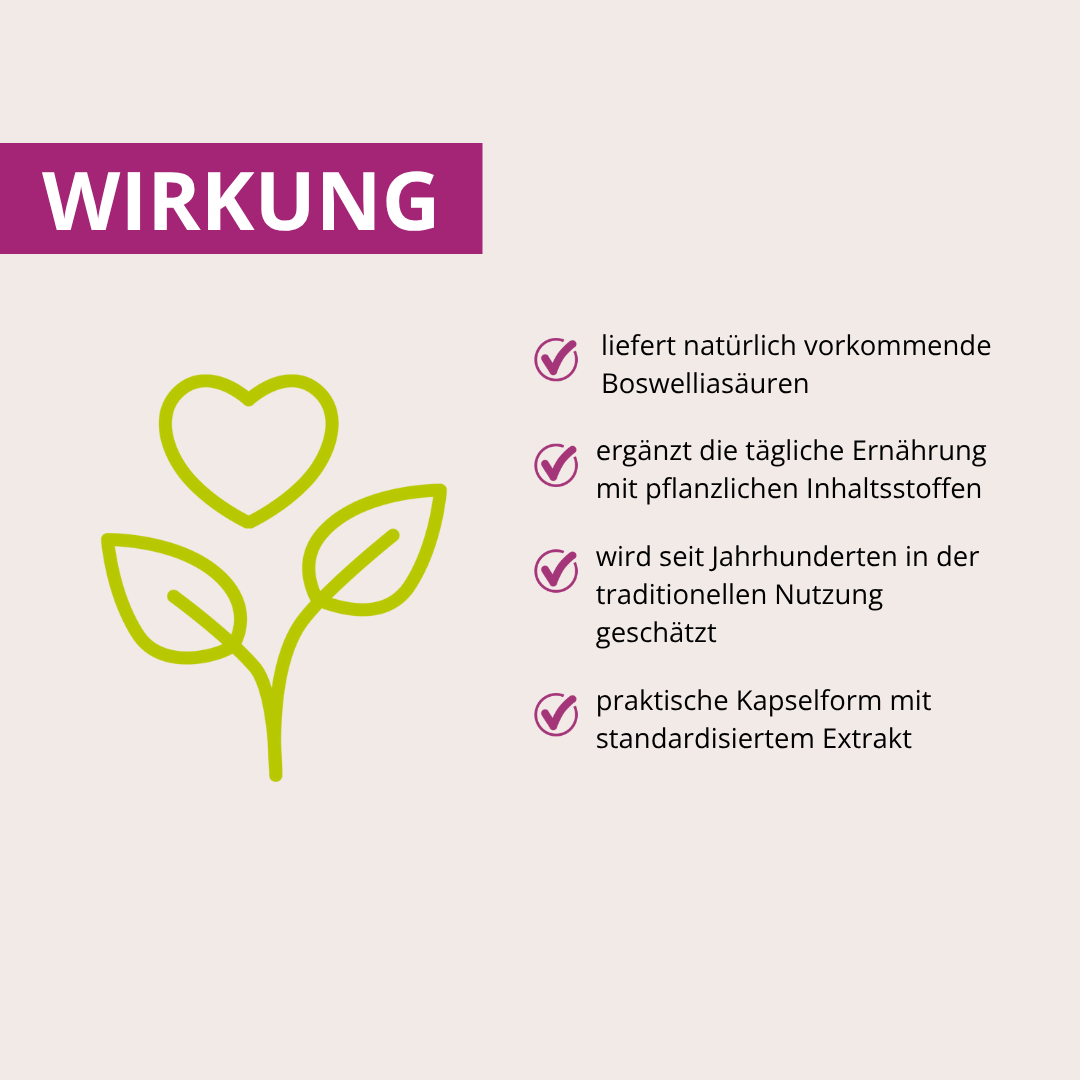 Weihrauchextrakt 400mg