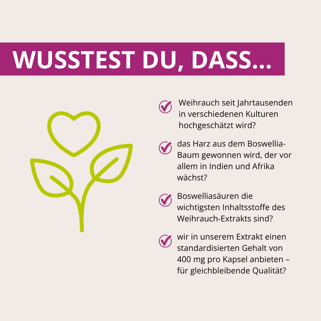 Weihrauchextrakt 400mg