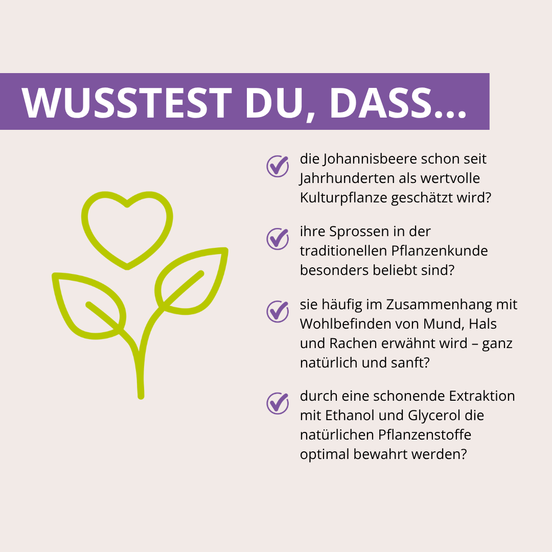 Johannisbeerelixier 50 ml