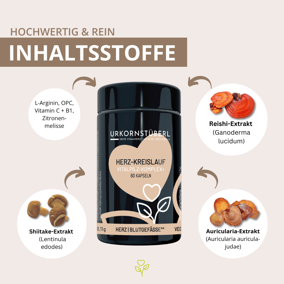 Herz-Kreislauf Vitalpilz-Komplex+ 60 Kapseln