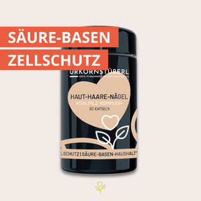 Haut Haare Nägel Vitalpilz-Komplex 90 Kapseln