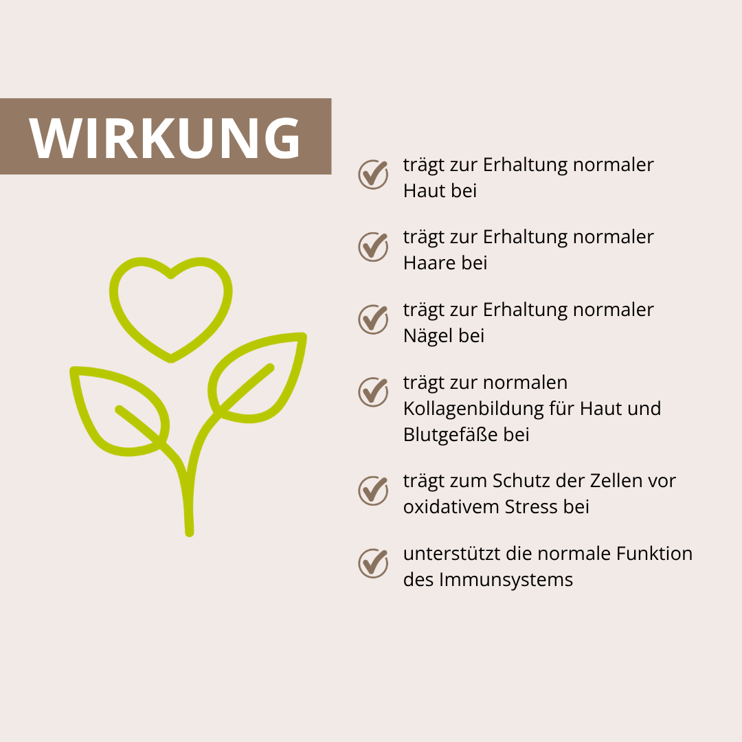 Haut Haare Nägel Vitalpilz-Komplex 90 Kapseln