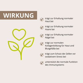 Haut Haare Nägel Vitalpilz-Komplex 90 Kapseln