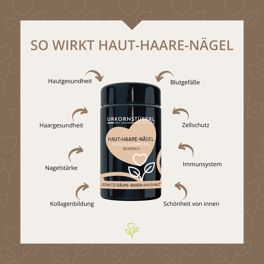 Haut Haare Nägel Vitalpilz-Komplex 90 Kapseln