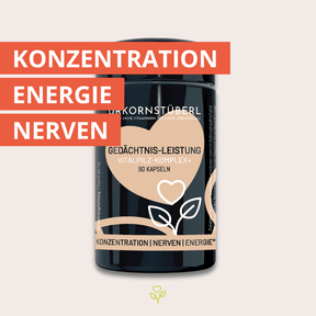 Gedächtnis Leistung Vitalpilz-Komplex+ 90 Kapseln
