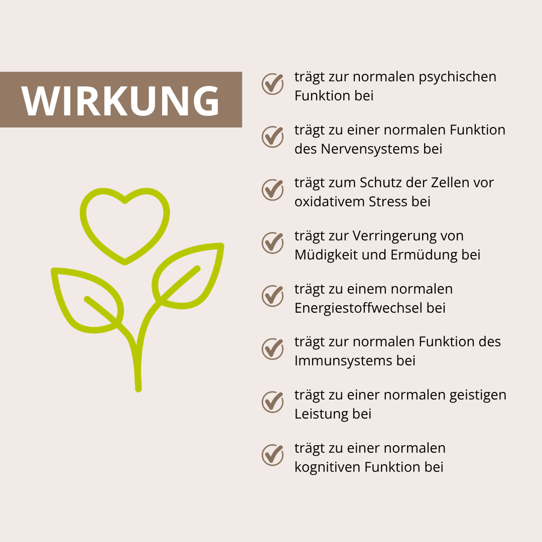 Gedächtnis Leistung Vitalpilz-Komplex+ 90 Kapseln