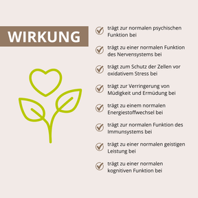 Gedächtnis Leistung Vitalpilz-Komplex+ 90 Kapseln