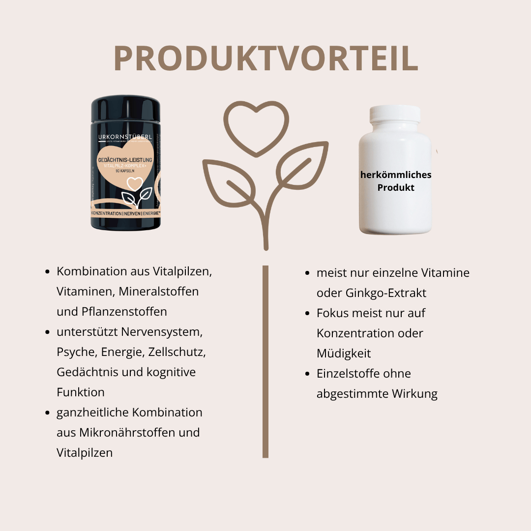 Gedächtnis Leistung Vitalpilz-Komplex+ 90 Kapseln