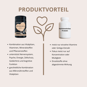 Gedächtnis Leistung Vitalpilz-Komplex+ 90 Kapseln