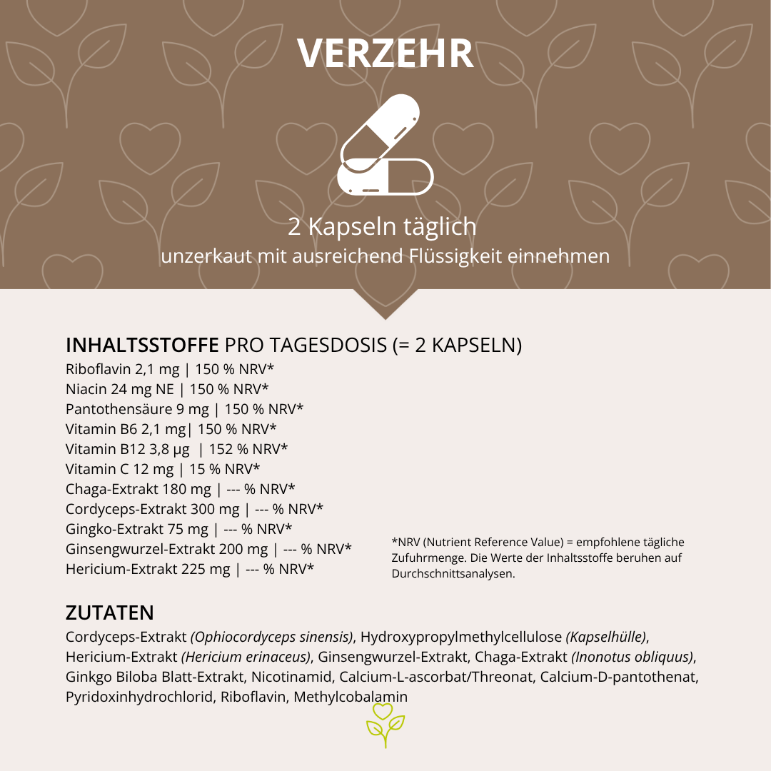 Gedächtnis Leistung Vitalpilz-Komplex+ 90 Kapseln