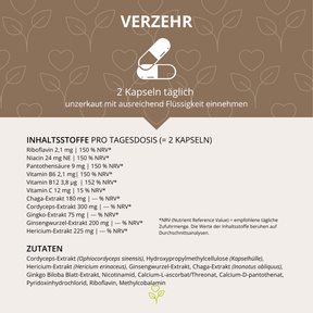 Gedächtnis Leistung Vitalpilz-Komplex+ 90 Kapseln