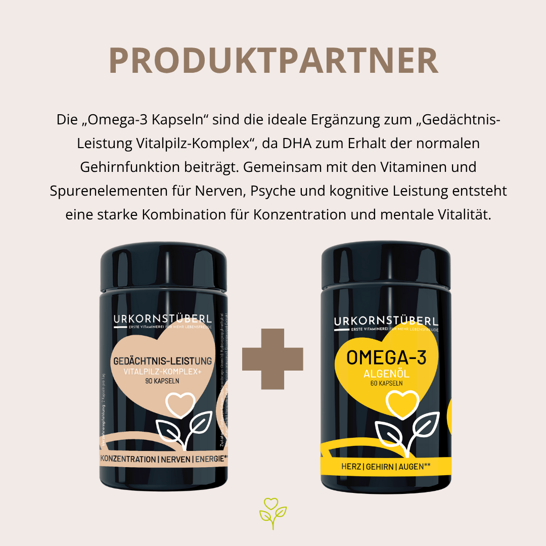 Gedächtnis Leistung Vitalpilz-Komplex+ 90 Kapseln