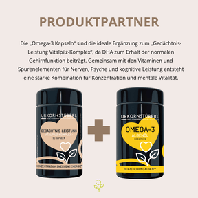 Gedächtnis Leistung Vitalpilz-Komplex+ 90 Kapseln