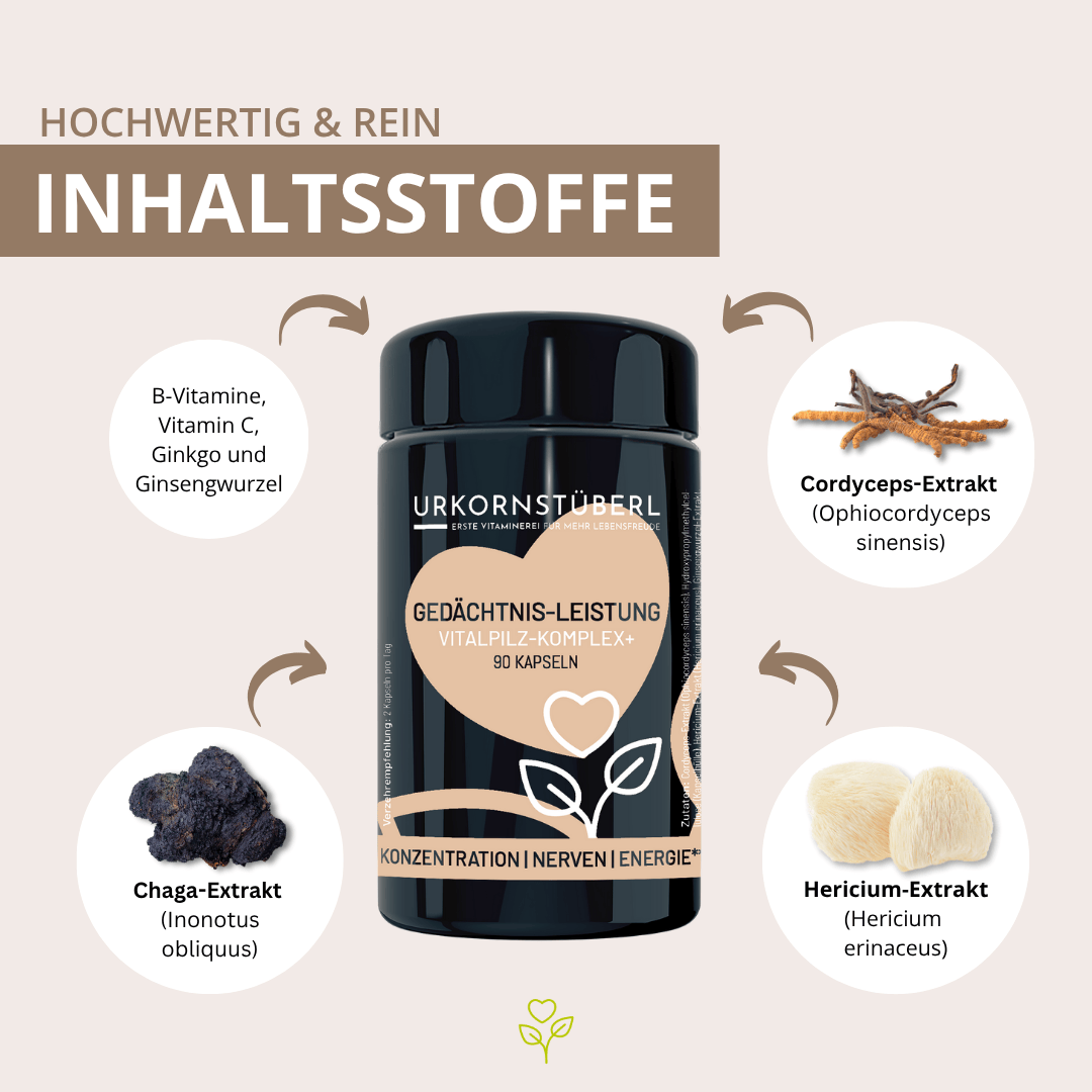 Gedächtnis Leistung Vitalpilz-Komplex+ 90 Kapseln