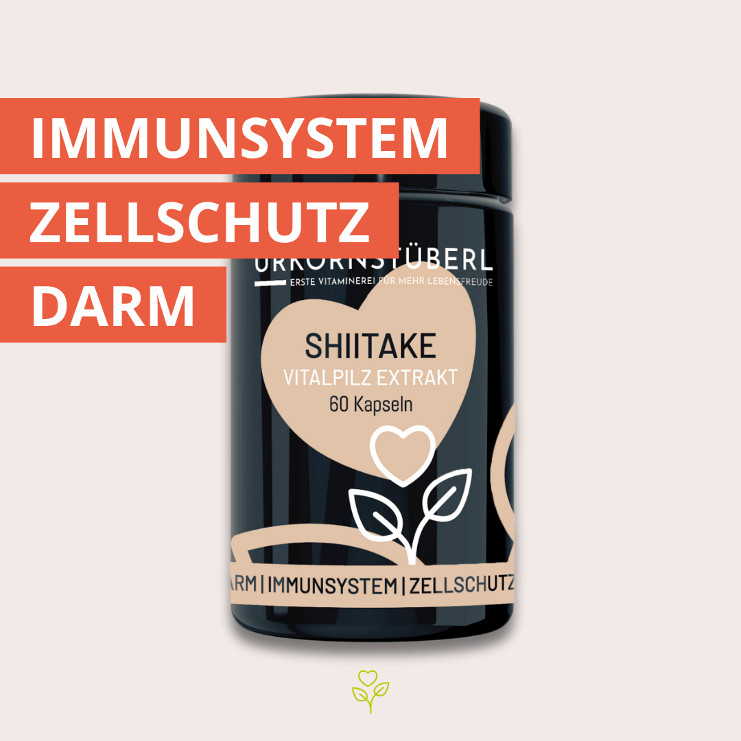 Shiitake Vitalpilzextrakt 60 Kapseln