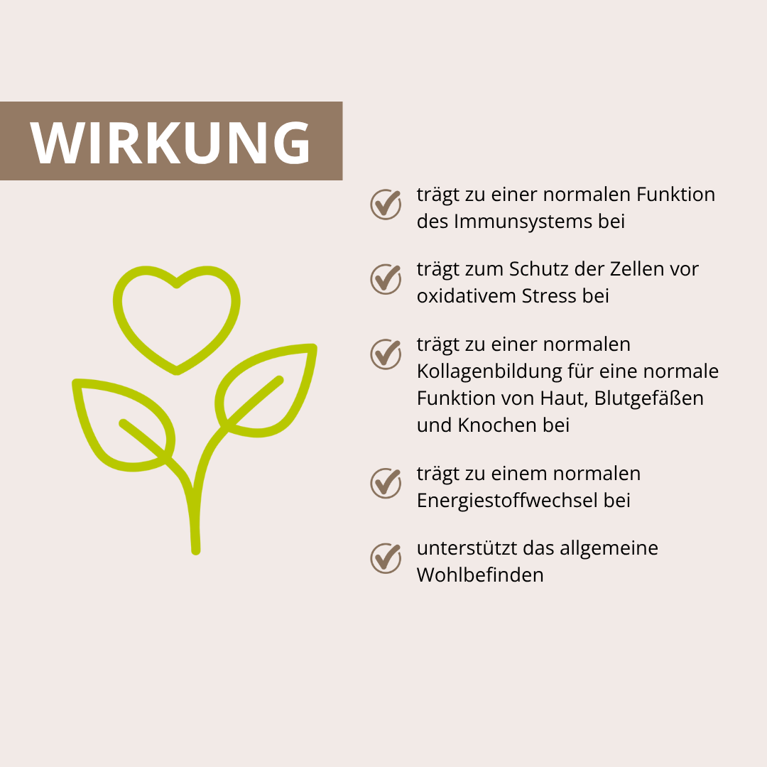 Shiitake Vitalpilzextrakt 60 Kapseln