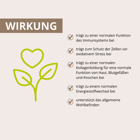 Shiitake Vitalpilzextrakt 60 Kapseln