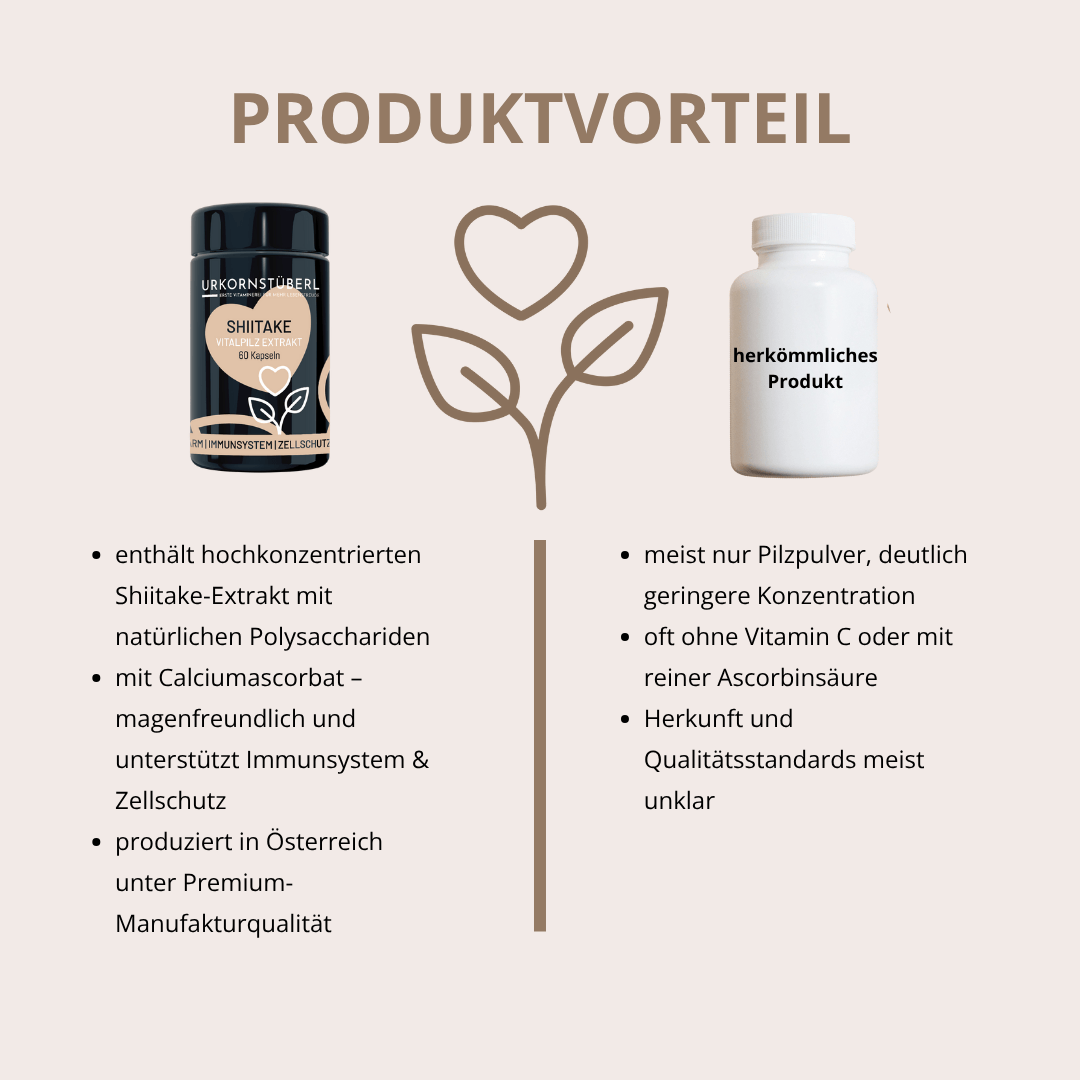 Shiitake Vitalpilzextrakt 60 Kapseln