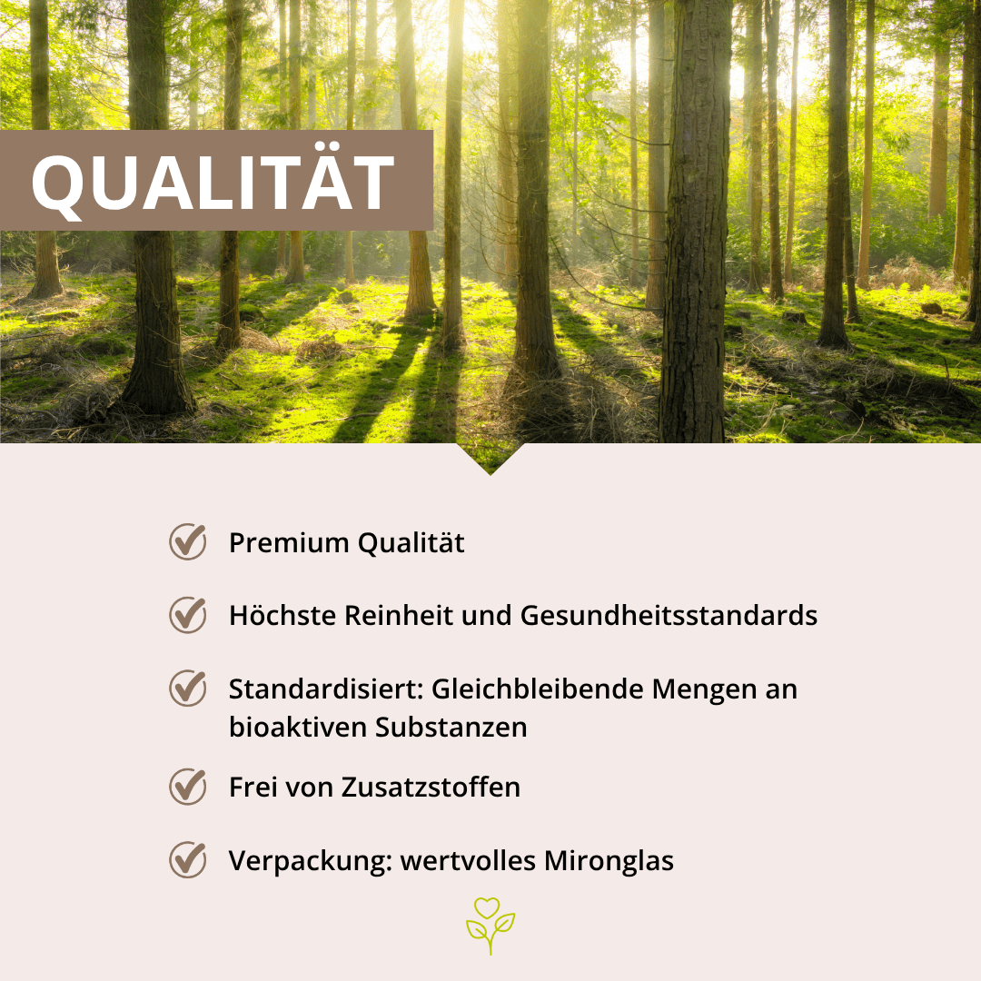 Shiitake Vitalpilzextrakt 60 Kapseln