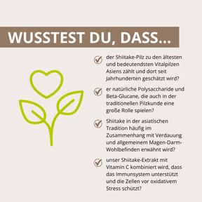 Shiitake Vitalpilzextrakt 60 Kapseln