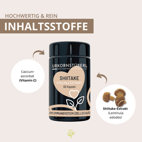 Shiitake Vitalpilzextrakt 60 Kapseln