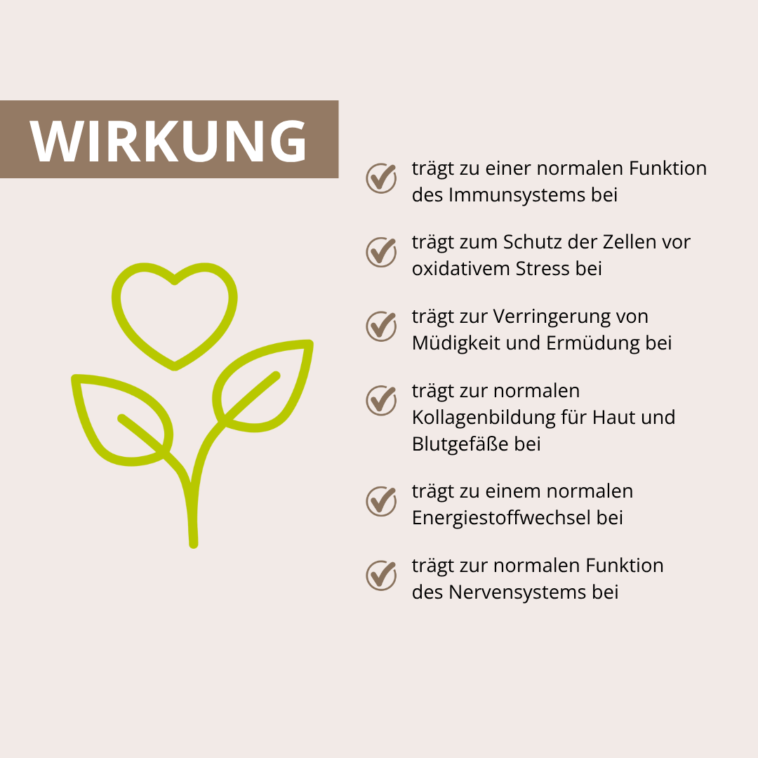 Cordyceps Vitalpilzextrakt 60 Kapseln