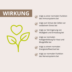 Cordyceps Vitalpilzextrakt 60 Kapseln