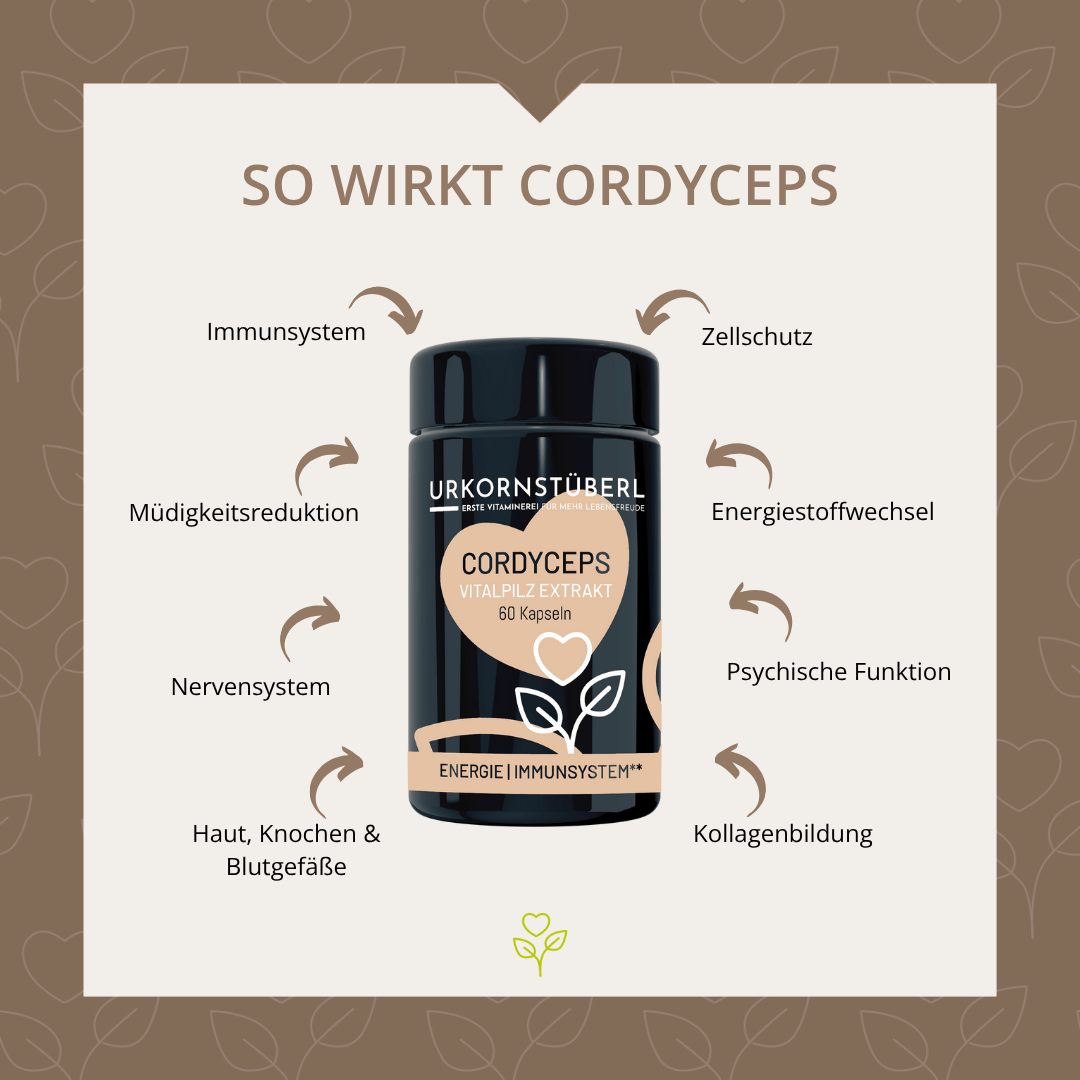 Cordyceps Vitalpilzextrakt 60 Kapseln