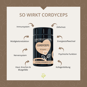 Cordyceps Vitalpilzextrakt 60 Kapseln