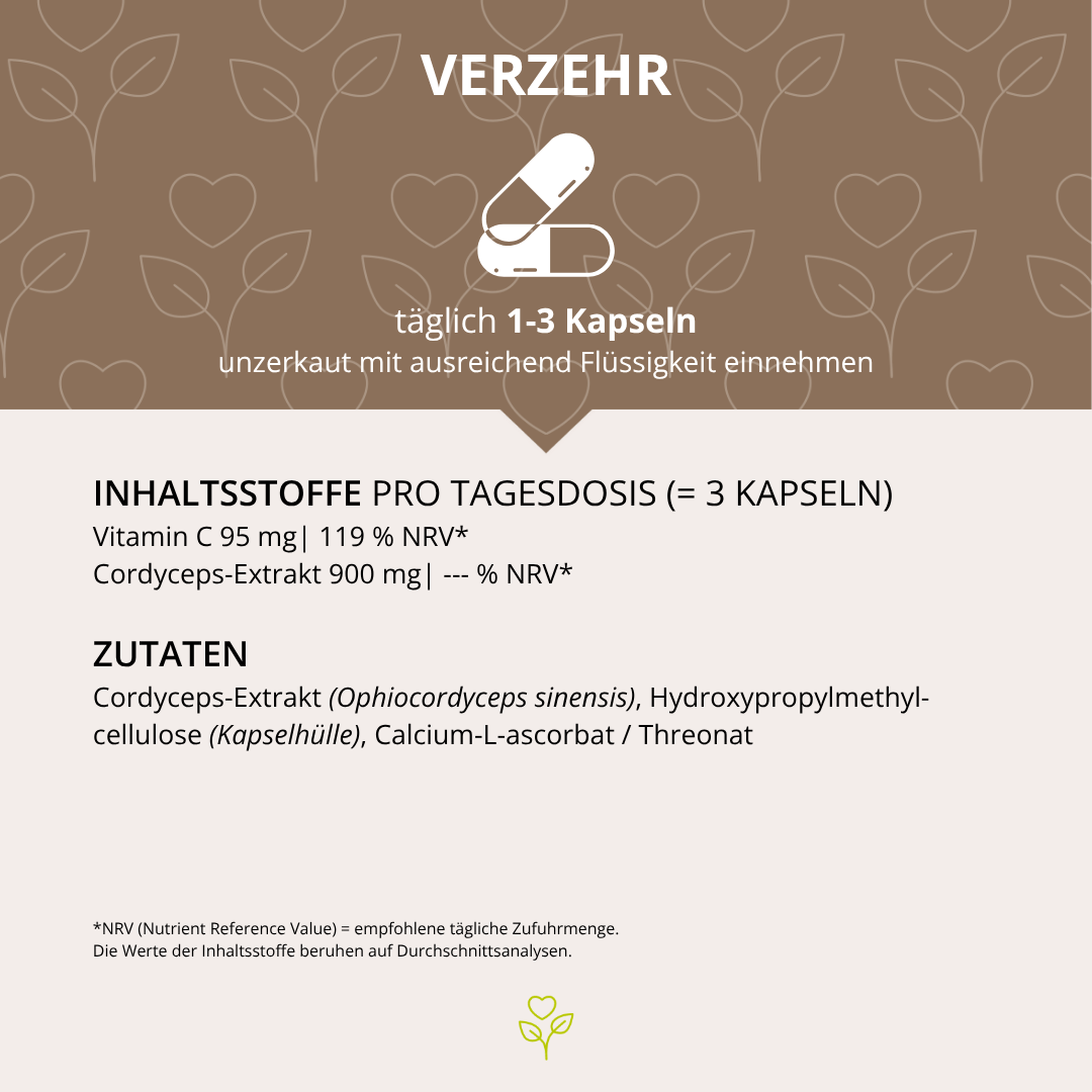 Cordyceps Vitalpilzextrakt 60 Kapseln