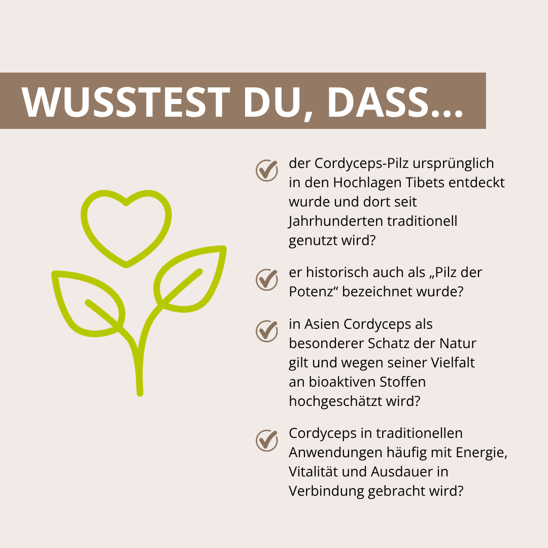 Cordyceps Vitalpilzextrakt 60 Kapseln